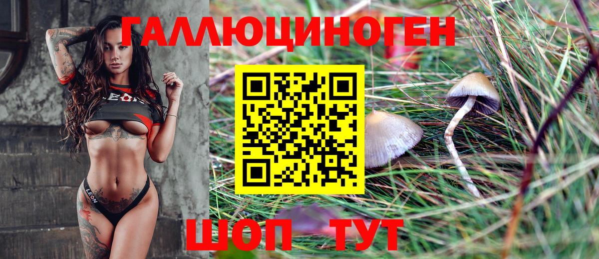 Псилоцибиновые грибы Magic Shrooms  Вход с VPN  Сокол 